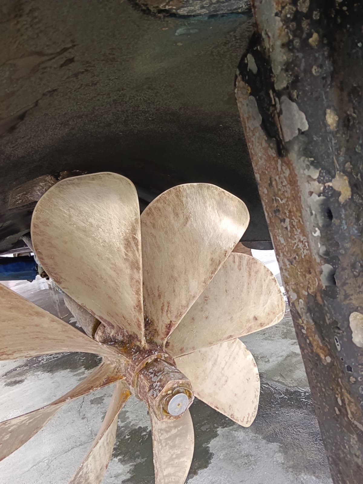 Six-blade bronze propeller on the shaft, next to the rudder